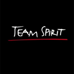 Team Spirit De Serie