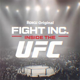 UFC Fight Inc